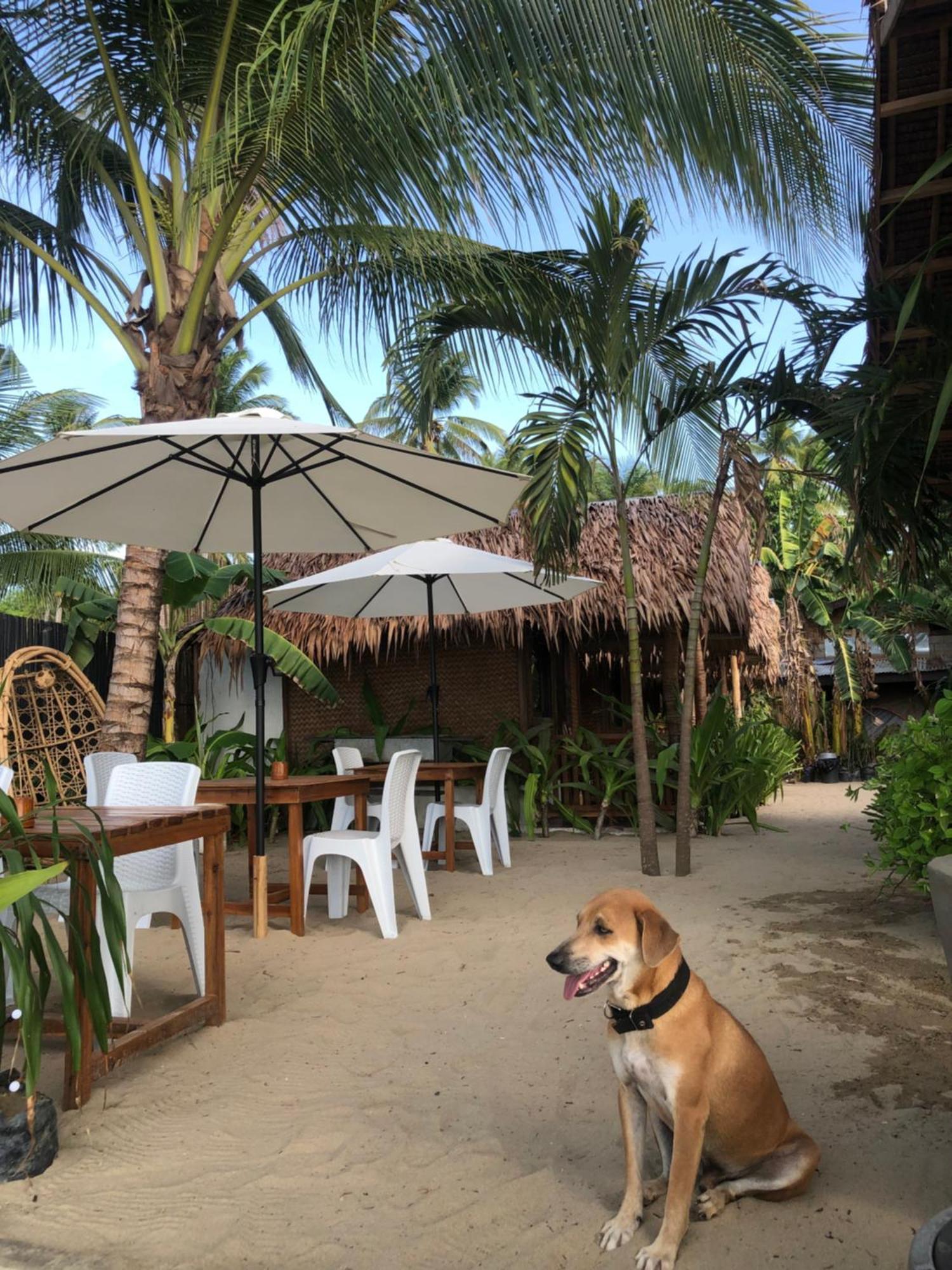 Zhaya'S Beach & Cottages El Nido Exteriör bild