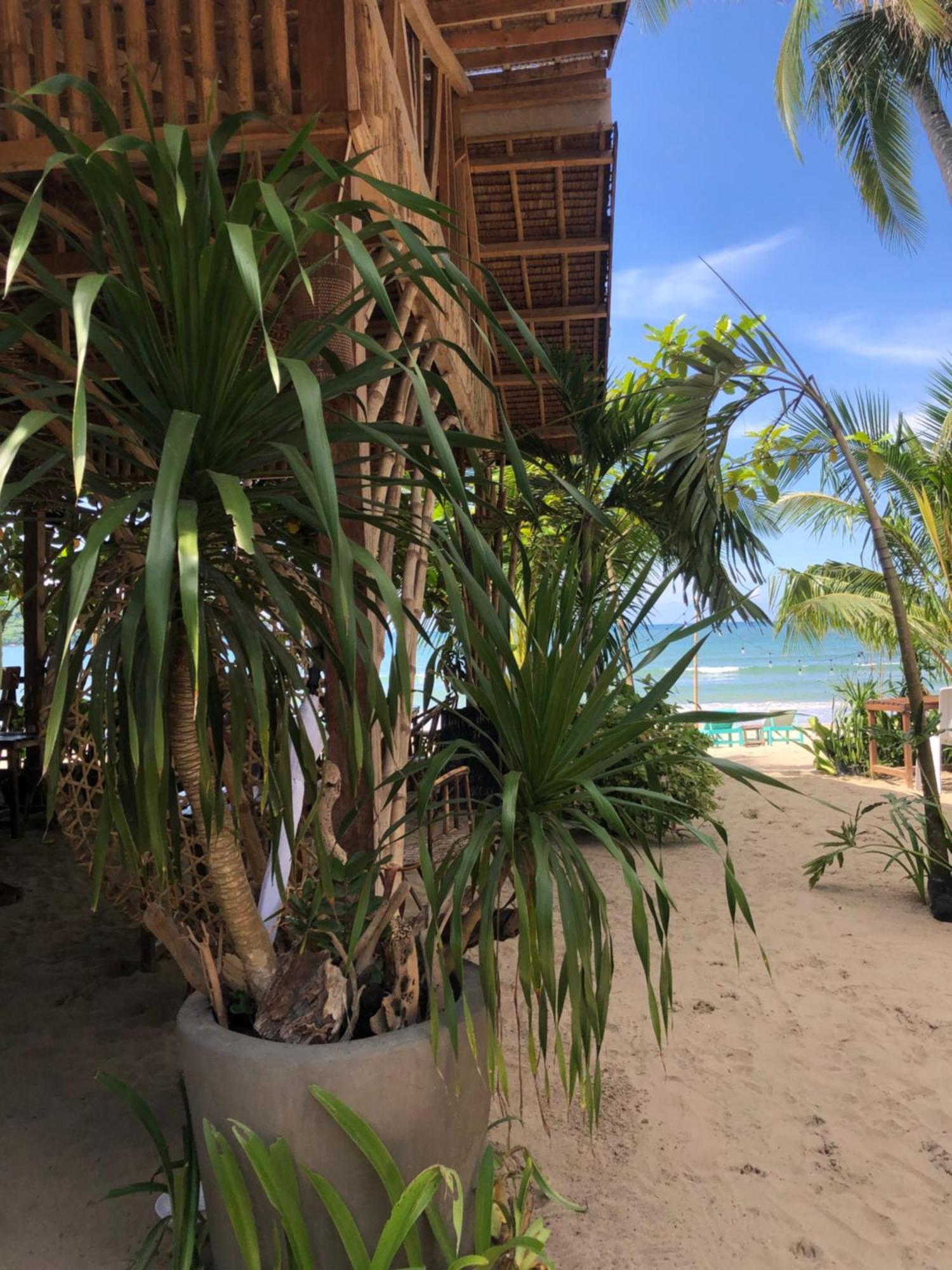 Zhaya'S Beach & Cottages El Nido Exteriör bild